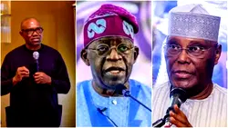 Supreme Court begins hearing in Atiku, Peter Obi, APM’s appeals