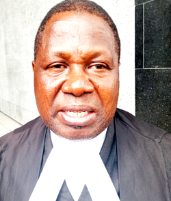 We need specialised courts to handle EFCC, ICPC cases — Prof Amuda-Kannike, SAN