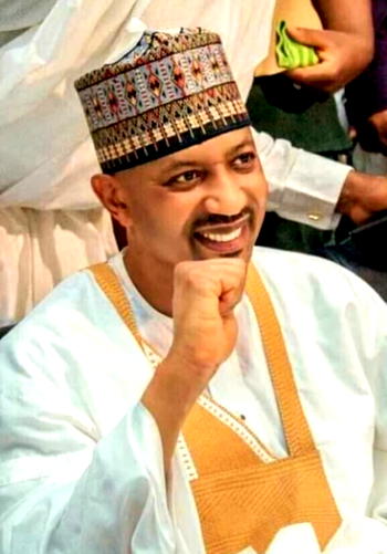 You’re part of Nigeria’s woes; can’t impeach Buhari — Sha’aban tells Senators, Reps