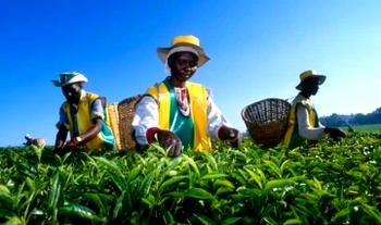 Kenyan tribes sue UK £168 billion for rape, torture other abuses during colonial era