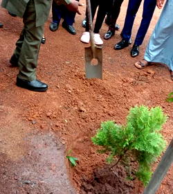 Ebonyi varsity to boost IGR through planting of over 200,000 trees