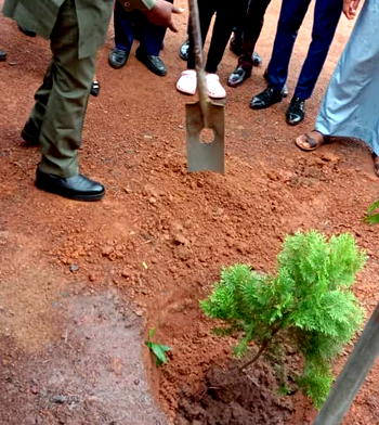 Ebonyi varsity to boost IGR through planting of over 200,000 trees