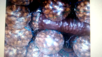 Plateau: Farmers lament as potato blight ravages farms
