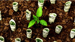 Largest Funds remain bullish on ESG investing