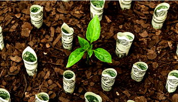 Largest Funds remain bullish on ESG investing