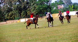2023: Tinubu, Atiku, others to feature in Keffi polo tournament – Wadada
