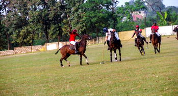 2023: Tinubu, Atiku, others to feature in Keffi polo tournament – Wadada