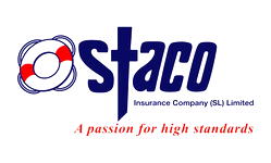 Staco appoints Banmore as new managing director