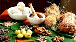 Traditional medicine key to easing Africa’s disease burden ― WHO