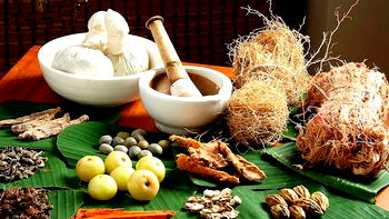 Traditional medicine key to easing Africa’s disease burden ― WHO