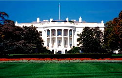 Lightning strike kills 2, injures two near White House