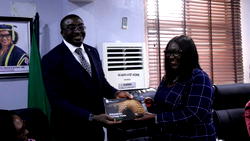 NCF, UNICAL partner to save Gorilla from extinction in Nigeria