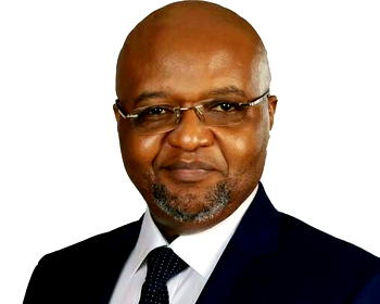 Thisday Editorial Board member bags another professorship