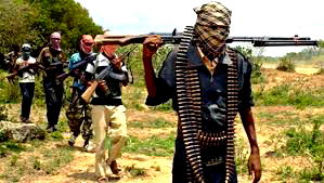 Security in Nigeria: How to end banditry and kidnapping with mercenaries 