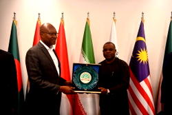 D-8 countries pledge support for Nigeria’s energy transition plan