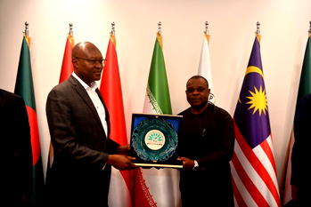 D-8 countries pledge support for Nigeria’s energy transition plan