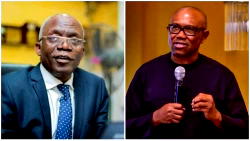[Video] Stop visiting those who destroyed Nigeria, Falana tells Peter Obi, LP leaders