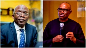 [Video] Stop visiting those who destroyed Nigeria, Falana tells Peter Obi, LP leaders