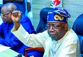 You will own houses, cars, others under me, Tinubu tells Nigerian youths