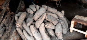 Agribusiness: FG, stakeholders resolve to resuscitate yam export