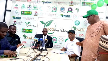 How Nigeria can meet annual maize deficit of 8m metric tons — ECOBasic Seed