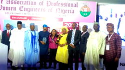Energy transition: FG, Gombe, NCDBM, APWEN, others urge women to take advantage