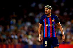 Araujo to undergo surgery on Wednesday