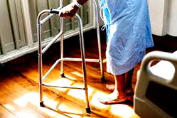 Stakeholders seek policy-driven interventions for elderly
