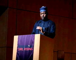 New York: Zulum addresses multinational groups on girls’ education