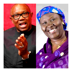 2023: Peter Obi leading political revolution – LP Nat’l Woman leader
