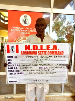 War against illicit drugs: NDLEA nabs 75-year-old grandpa, 21 others