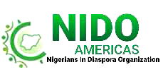 Dabiri-Erewa urges Nigerians living abroad not to be disappointed on Diaspora voting
