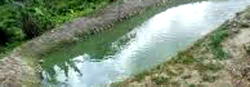 Teenager drowns in Kano pond