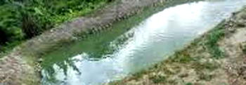 Teenager drowns in Kano pond