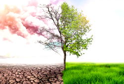 Nigeria, Climate Action…Present and Future