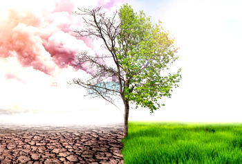 Nigeria, Climate Action…Present and Future