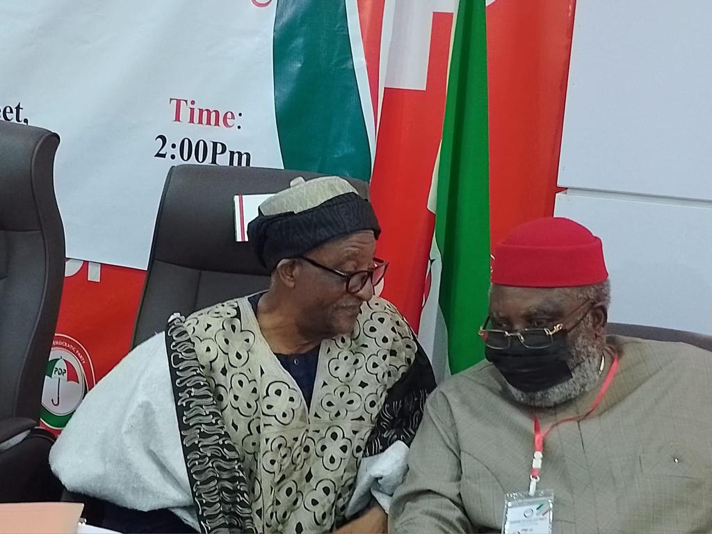 Breaking: PDP BoT chair resigns, Wabara takes over