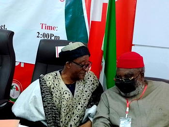 PDP BoT chair resigns, Wabara takes over