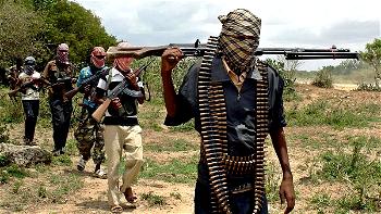 Bandits execute 5 of 60 abducted villagers in Niger
