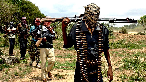 Insecurity: FG begins data collection of victims of terrorism