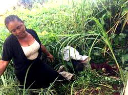 Woman beats 3-yr-old grandchild to death in Anambra