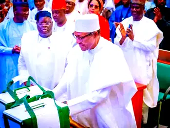 Budget: Poverty, unemployment, rising debt profile, others – NECA