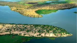 Environmental degradation in Lake Chad Basin calls for combine efforts ...
