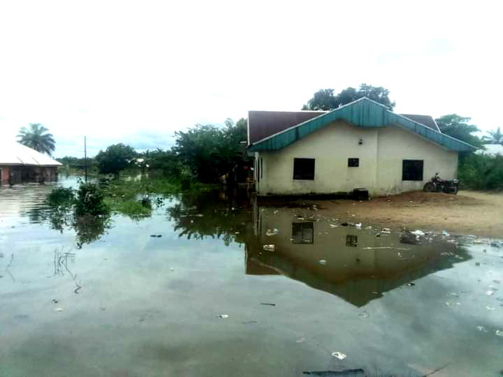 Niger Delta: Eight feared dead as flood releases pythons, dangerous sea