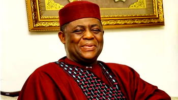 Why I was posted to South Africa – Fani-Kayode