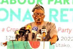 How 2023 polls destroyed myth of political structure, others – Falana