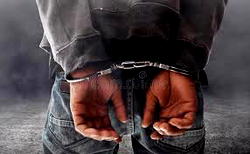 Interpol nabs two Nigerians over cybercrime in South Africa
