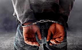 Interpol nabs two Nigerians over cybercrime in South Africa