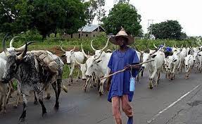Scholars proffer solutions to persistent farmer-herder crisis in ...