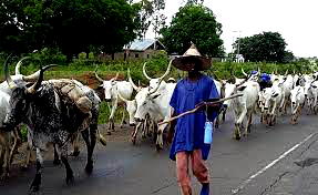 Scholars proffer solutions to persistent farmer-herder crisis in Nigeria